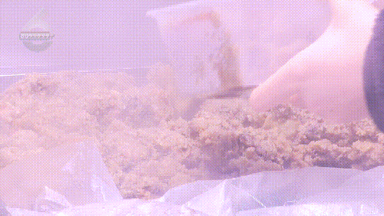 融！这些御寒姿势总有一款适合你麻将胡了试玩平台热腾腾、暖融(图9)