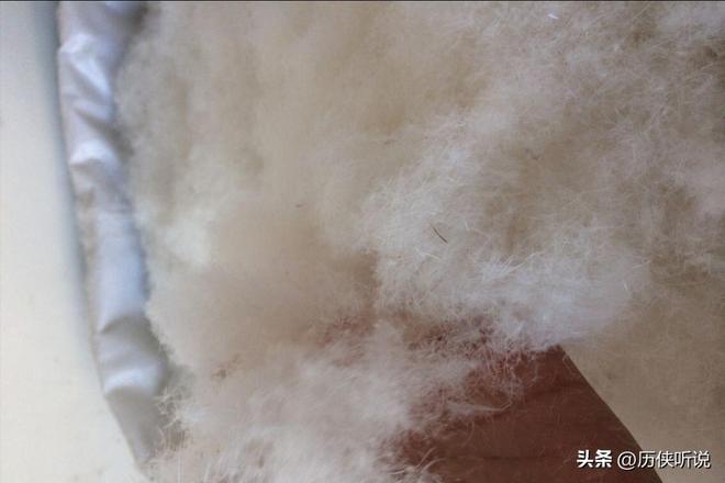 烤鸭才25元！哪来的利润？能放心吃吗？PG麻将胡了试玩平台活鸭上百元一只做成(图7)