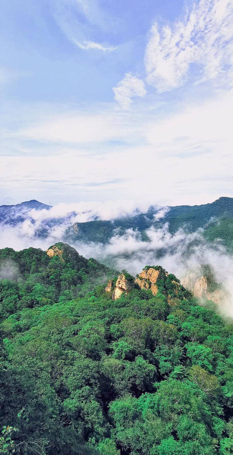 山老字号记：三代人坚守的美味麻将胡了2试玩全方面更新）乐(图2)